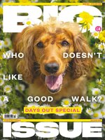 The Big Issue